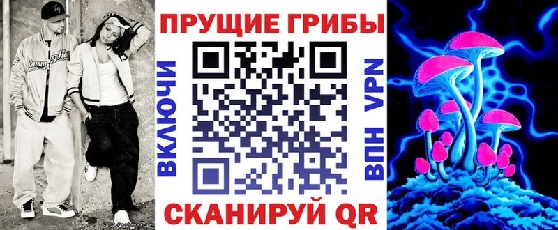 мега ссылки  Ковылкино  Псилоцибиновые грибы Cubensis 